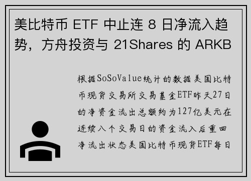 美比特币 ETF 中止连 8 日净流入趋势，方舟投资与 21Shares 的 ARKB 净流出近 1